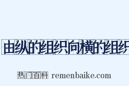 由纵的组织向横的组织是什么意思的图片